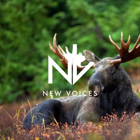 New Voices campaign hero