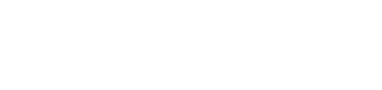 Google Premier Partner 2025